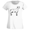 T-shirt  Lady Fit Thumbnail