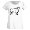 T-shirt  Lady Fit Thumbnail