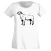 T-shirt  Lady Fit Thumbnail