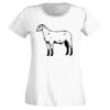 T-shirt  Lady Fit Thumbnail
