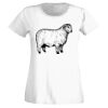 T-shirt  Lady Fit Thumbnail