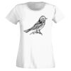 T-shirt  Lady Fit Thumbnail