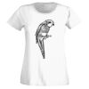 T-shirt  Lady Fit Thumbnail