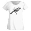 T-shirt  Lady Fit Thumbnail