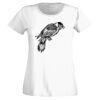 T-shirt  Lady Fit Thumbnail