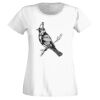 T-shirt  Lady Fit Thumbnail