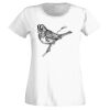 T-shirt  Lady Fit Thumbnail