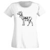 T-shirt  Lady Fit Thumbnail