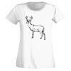 T-shirt  Lady Fit Thumbnail