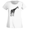 T-shirt  Lady Fit Thumbnail