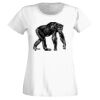 T-shirt  Lady Fit Thumbnail