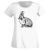 T-shirt  Lady Fit Thumbnail
