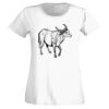 T-shirt  Lady Fit Thumbnail